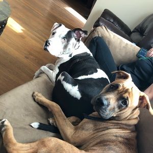 Meet your Posher, Denise